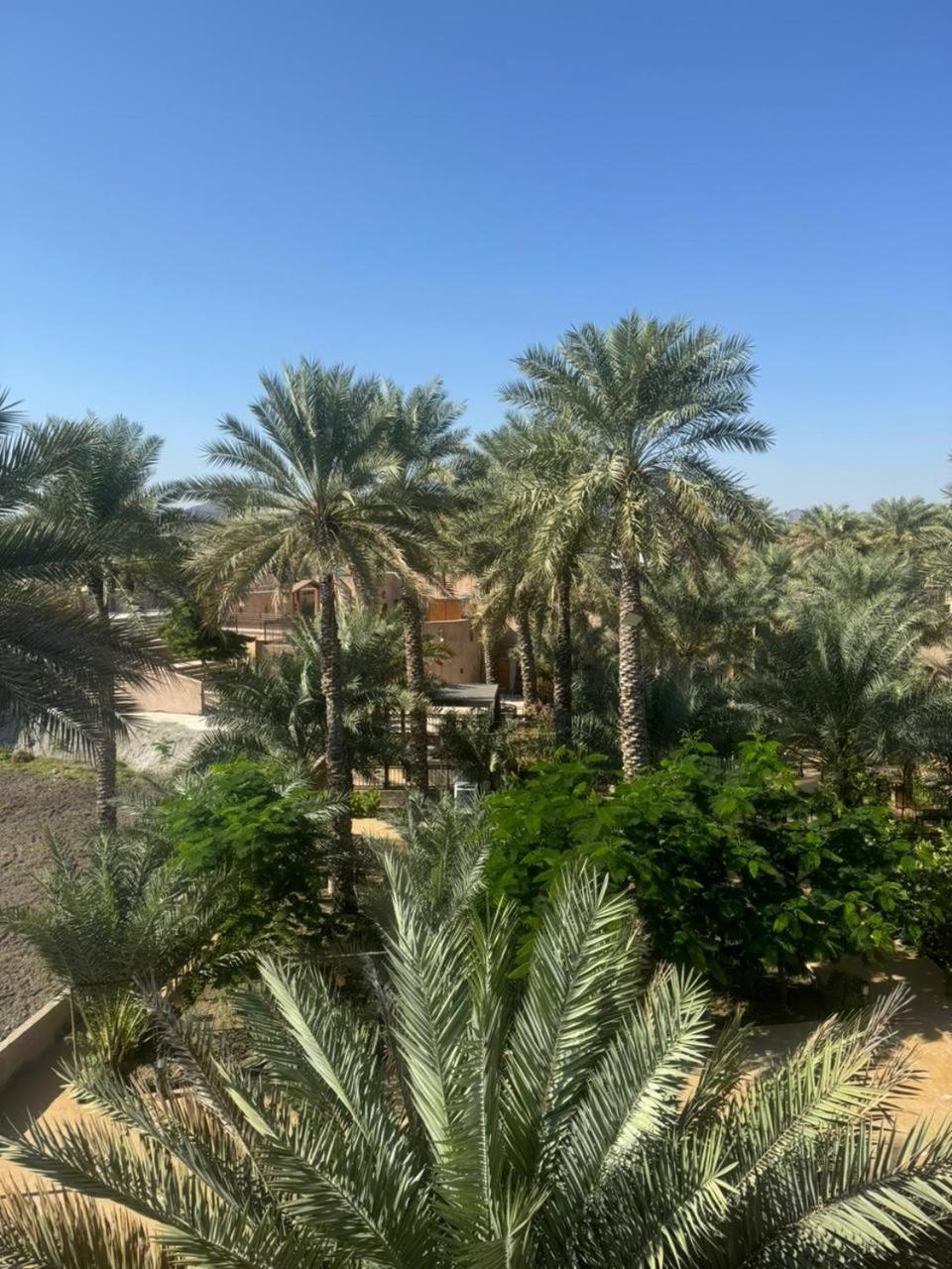 Jawharat Alaqar Inn نزل جوهرة العقر Nizwa Exterior photo